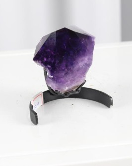 Bico de Ametista - Foto 1