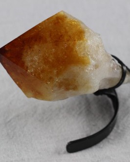 Bico de Citrino (440 gr) - Foto 3