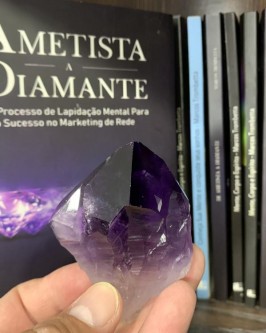 *NOVIDADE* Bico de Ametista ( 132 Gramas ) - Foto 5
