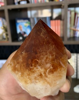 *NOVIDADE* Bico de Citrino (674 g)