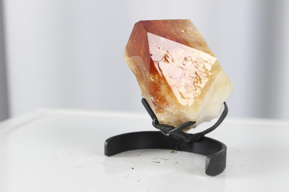 Bico de Citrino (388 gr)